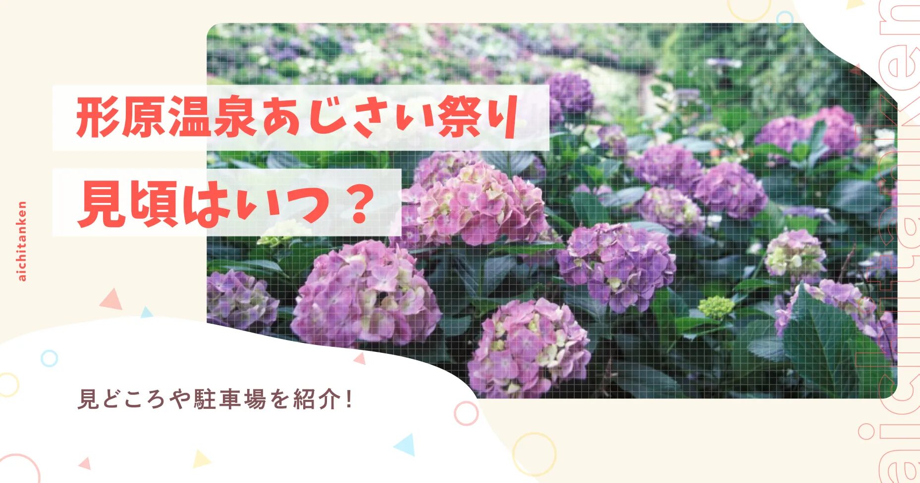 形原温泉あじさい祭り見頃はいつ？見どころや駐車場を紹介！